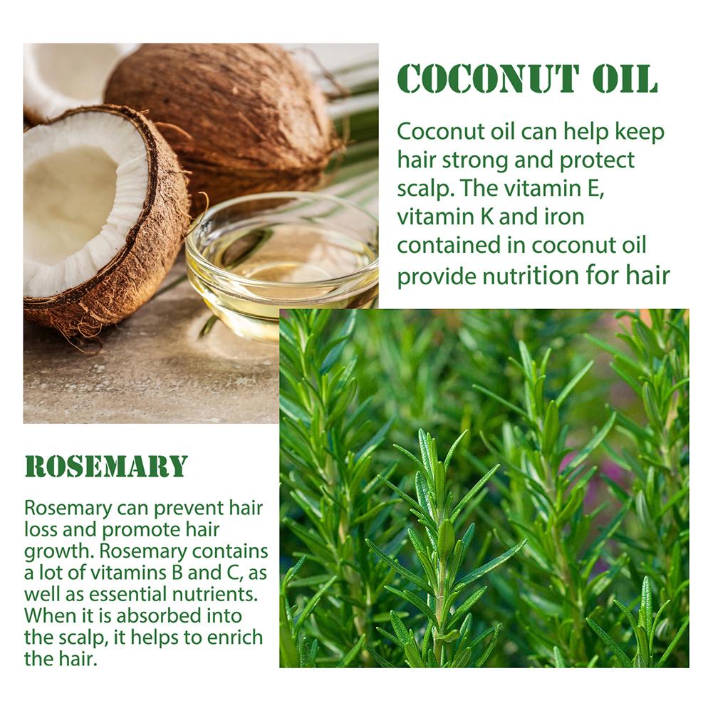 زيت إكليل الجبل العطري مع قطار - مراجعة Hair Care Ouai وسعره